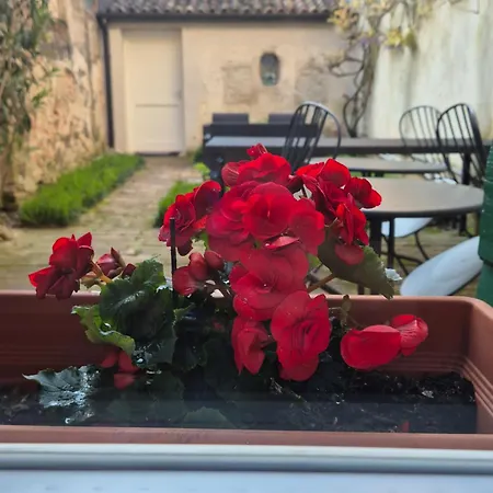 19 Borgo Cavour-2