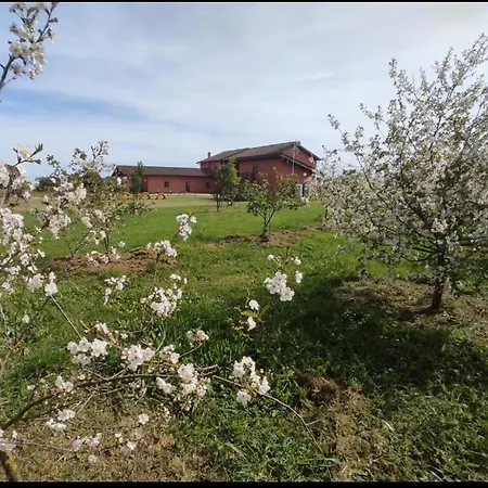 Il Casale di Giulia di Aprilia-2