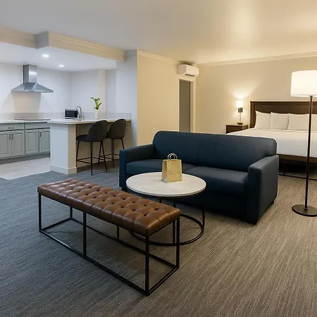The Live Hotel-3