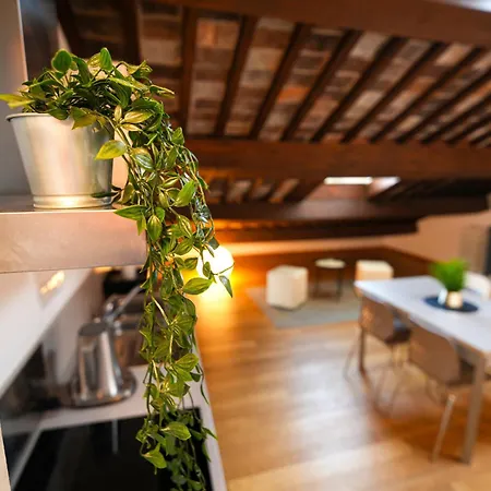 My Loft-2