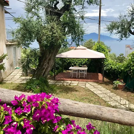 Sorrento Garden-2