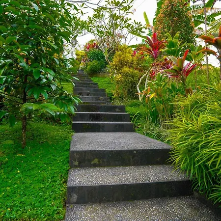 Green Coconut Cottage-2