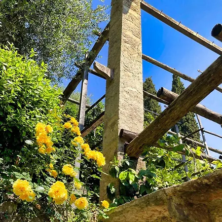 Hotel Du Lac-3