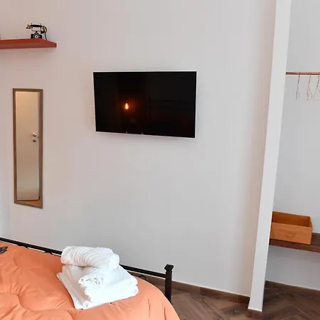 Nest House-3