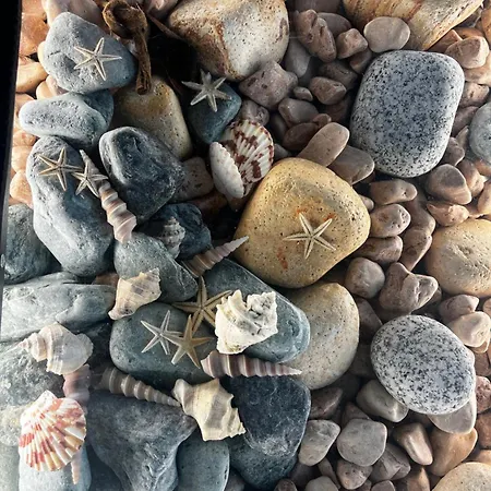 La terrazza sul mare-3