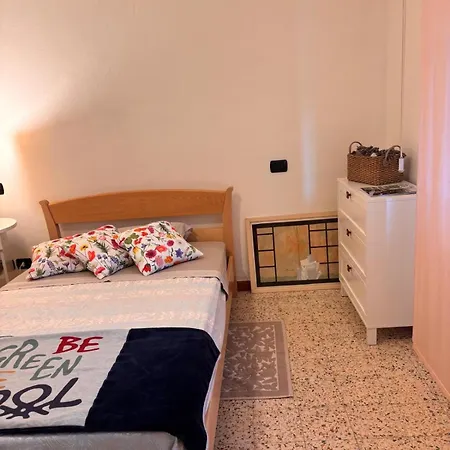 B&B Camelia-2