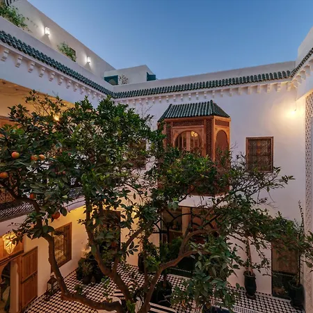 Riad Botanica-3