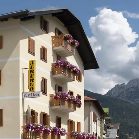 Hotel Erika-2