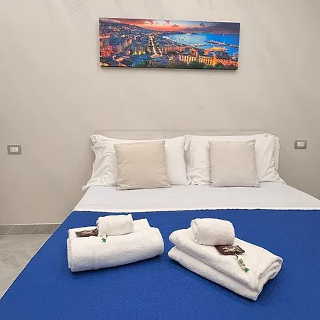 Max Fox Suite-3