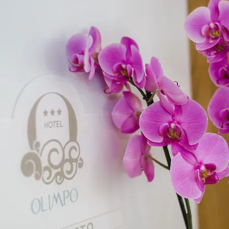 Hotel Olimpo-2
