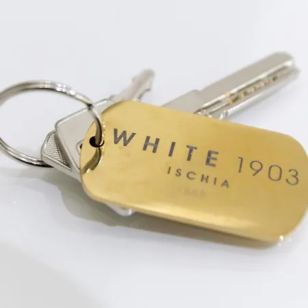 White 1903 - Rooftop Pool & Luxury Rooms-3