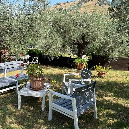Colle Paciocco-3