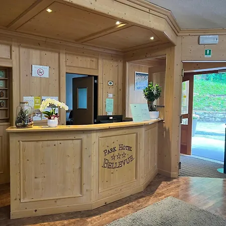 Park Hotel Bellevue-3