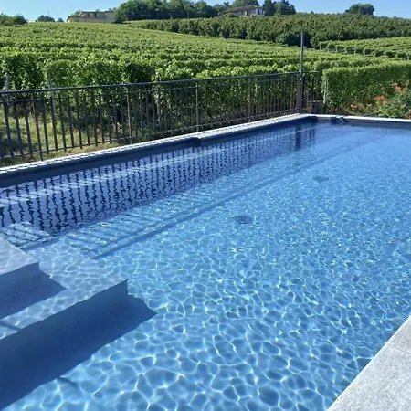 Tra... Monti E Vigne-2