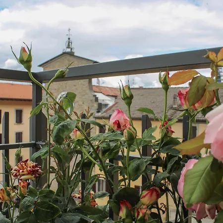 La rosa dei pepoli-2