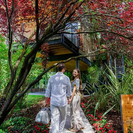 Treelodgy, The Tree House-3