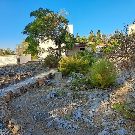 Masseria Artemisia-2