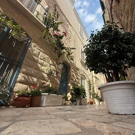 Solevita B&B-3