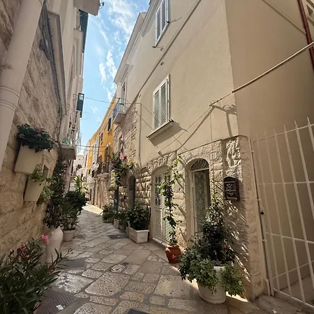 Solevita B&B-2