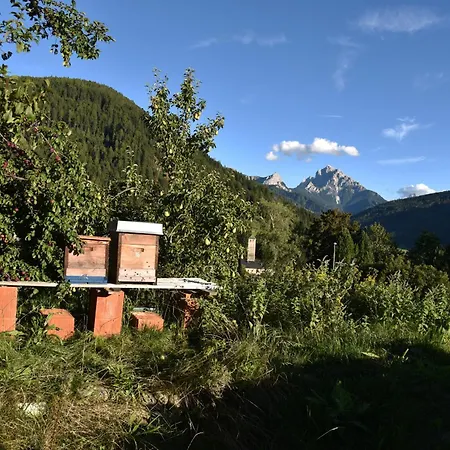 Pension Panorama-3