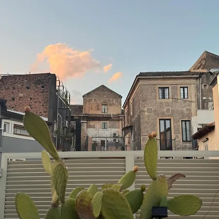 Qori Sicilian Stay-2