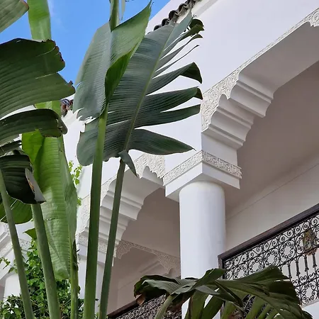 Riad Dar El Mahja-3