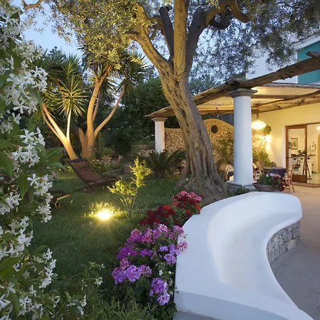 Hotel Al Mulino - Mediterranean Garden Retreat In Anacapri-2
