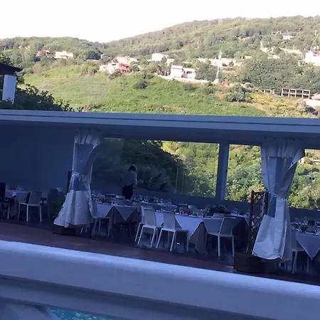 Agave Hotel-2