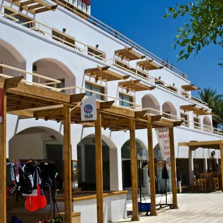 Oonas Dive Club-2