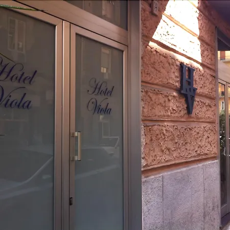 Hotel Viola-3