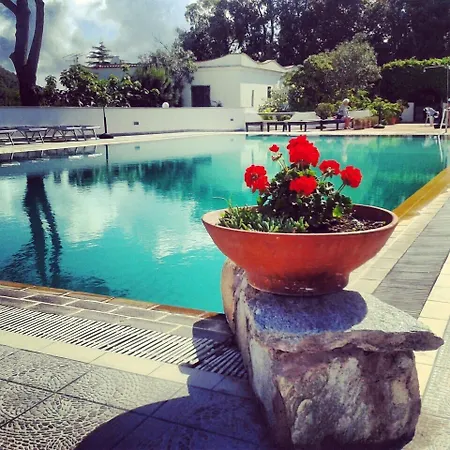 Hotel Al Bosco-3