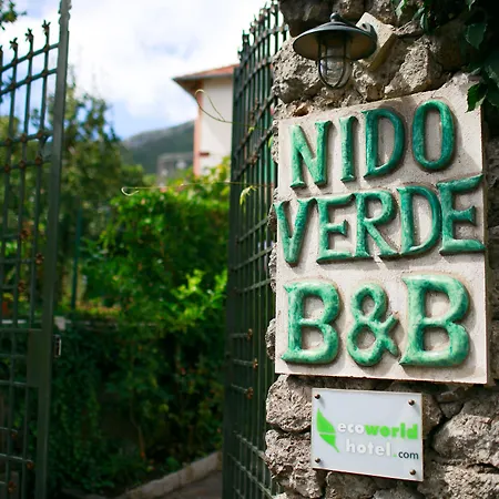 Nido Verde-2