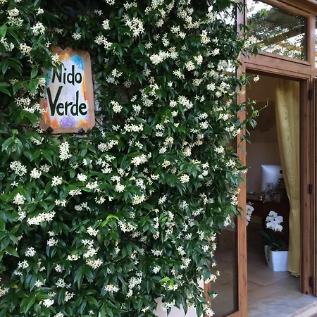 Nido Verde-3