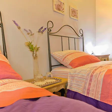 Duca'S Guest House-3