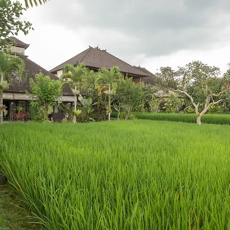 Bliss Ubud Spa Resort-2