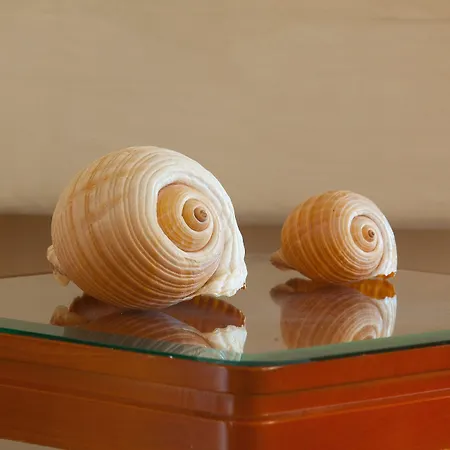 Pavlos Hotel-3