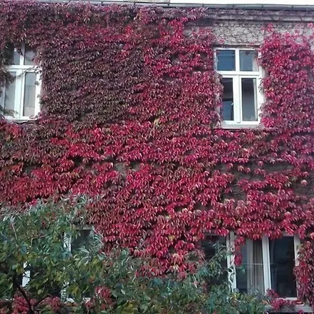 Favorit Hotel-2
