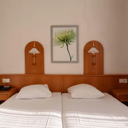 Owl Hotel-3