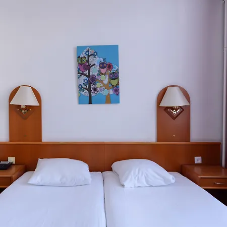 Owl Hotel-2