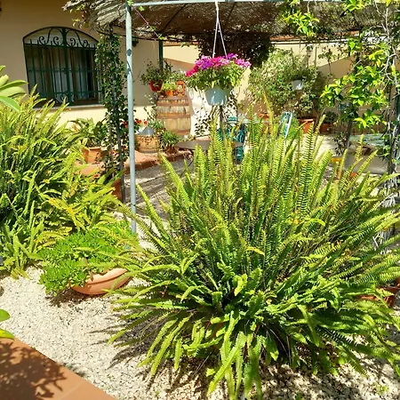 Bed And Breakfast Rosangela-3
