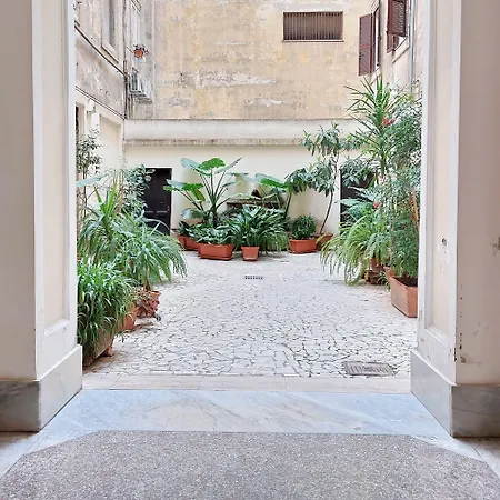 Dandi Domus-3