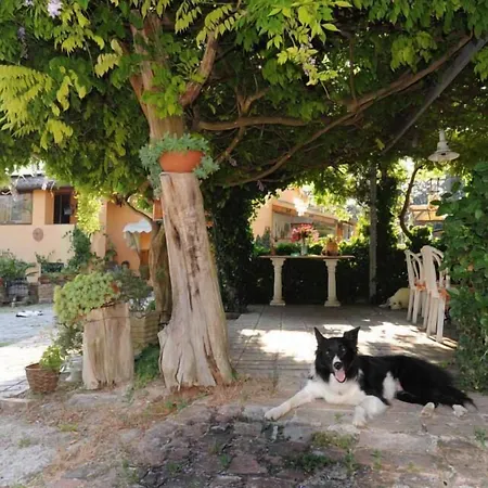 B&B Glicine-2