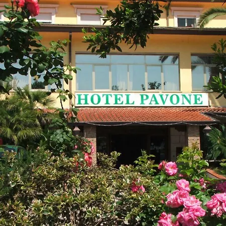 Grand Hotel Pavone-2