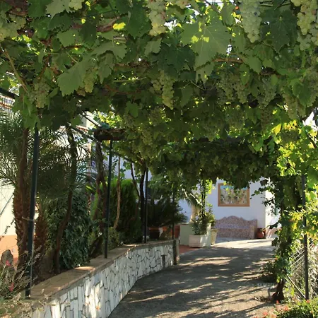 B&B Il Grappolo-3