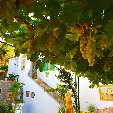B&B Il Grappolo-2