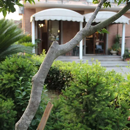 Hotel Diana-2