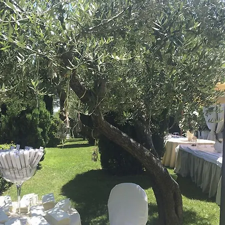 Tenuta Querce Grosse-2