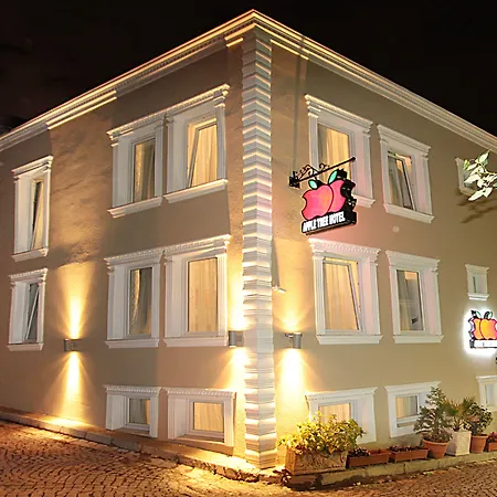 Apple Tree Hotel-2