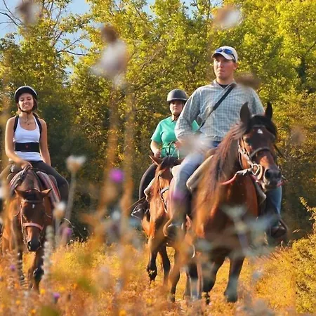 HOTEL HOLIDAYS a Barrea - Natura, Relax e Benessere nel Parco d'Abruzzo-3