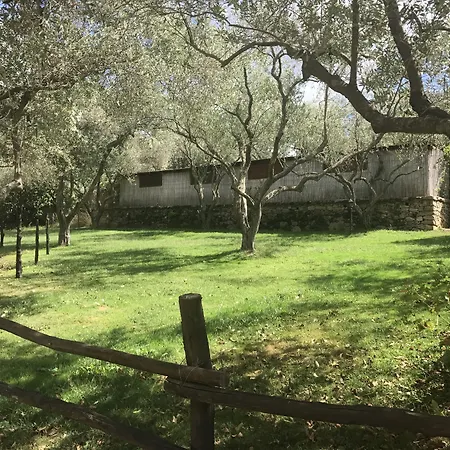 Agriturismo Lu Branu-2